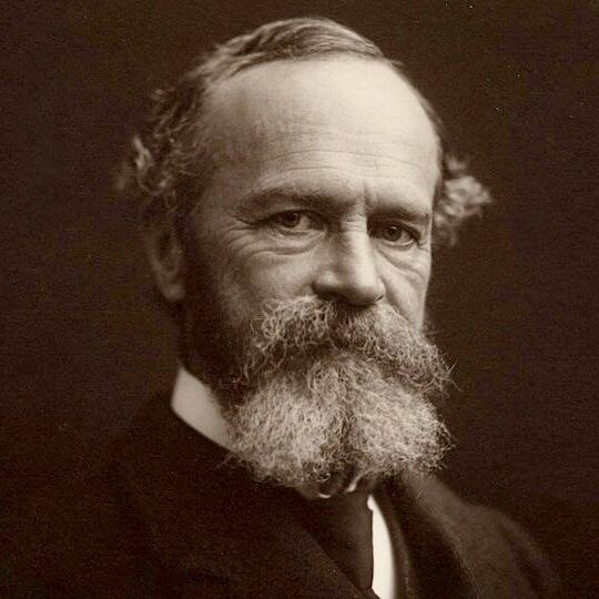 portrait of William James